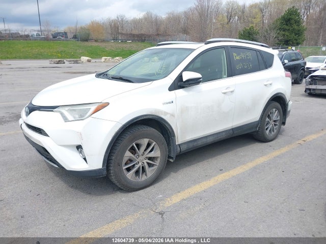 12604739 :رقم المزاد ، JTMRJREV8GD009237 vin ، 2016 Toyota Rav4 مزاد بيع