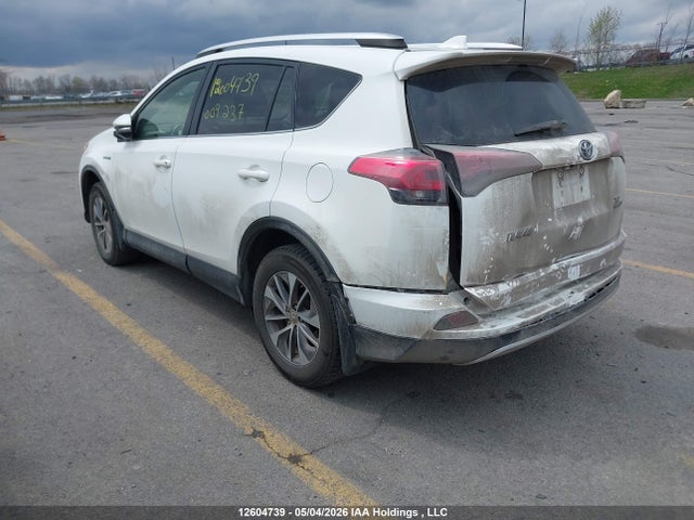 12604739 :رقم المزاد ، JTMRJREV8GD009237 vin ، 2016 Toyota Rav4 مزاد بيع