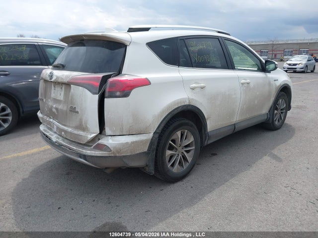 12604739 :رقم المزاد ، JTMRJREV8GD009237 vin ، 2016 Toyota Rav4 مزاد بيع