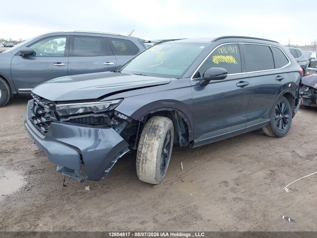 Продаж на аукціоні авто 2024 Honda Cr-v Hybrid, vin: 2HKRS6H95RH219754, номер лоту: 12604817
