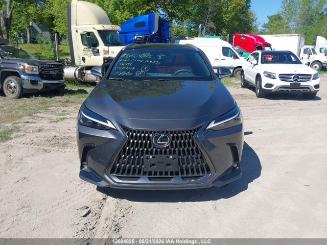Lexus Nx 350 Premium 2025 2T2GGCEZ7SC069002 Image 13
