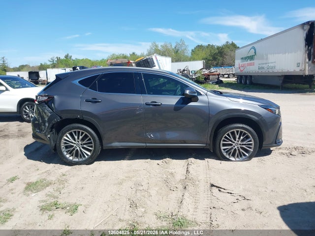 Lexus Nx 350 Premium 2025 2T2GGCEZ7SC069002 Image 14