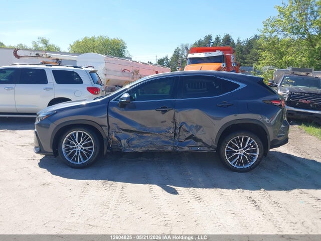 Lexus Nx 350 Premium 2025 2T2GGCEZ7SC069002 Image 15