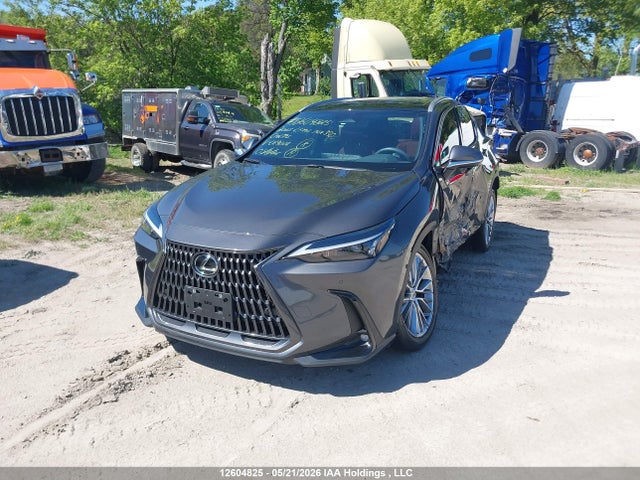 Lexus Nx 350 Premium 2025 2T2GGCEZ7SC069002 Image 2