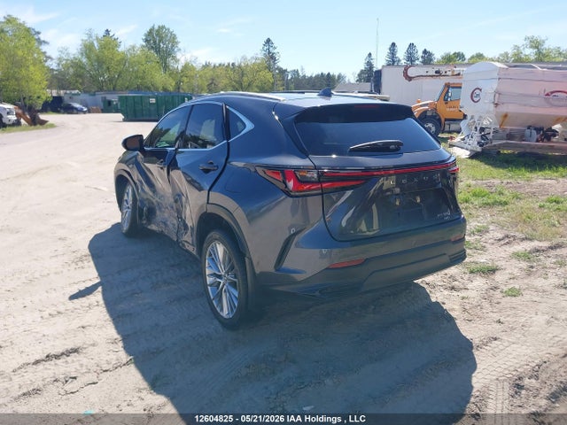 Lexus Nx 350 Premium 2025 2T2GGCEZ7SC069002 Image 3