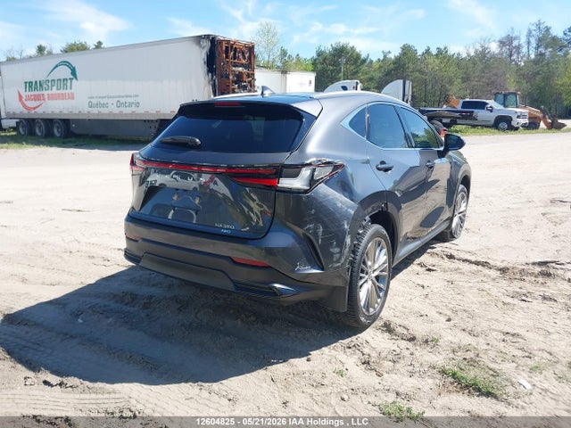 Lexus Nx 350 Premium 2025 2T2GGCEZ7SC069002 Image 4