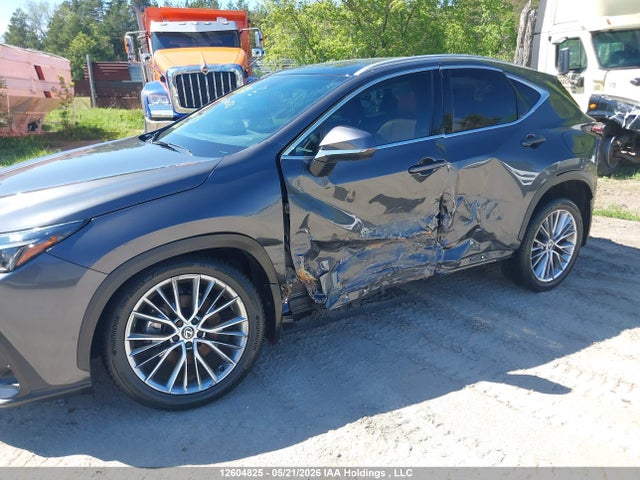 Lexus Nx 350 Premium 2025 2T2GGCEZ7SC069002 Image 6