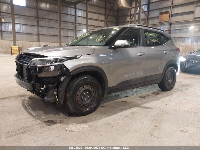 Aukcja sprzedaży 2023 Kia Seltos Lx, vin: KNDEPCAA2P7380552, numer aukcji: 12604829