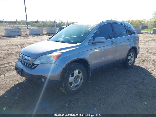 Продаж на аукціоні авто 2007 Honda Cr-v Exl, vin: 5J6RE48777L811704, номер лоту: 12604889