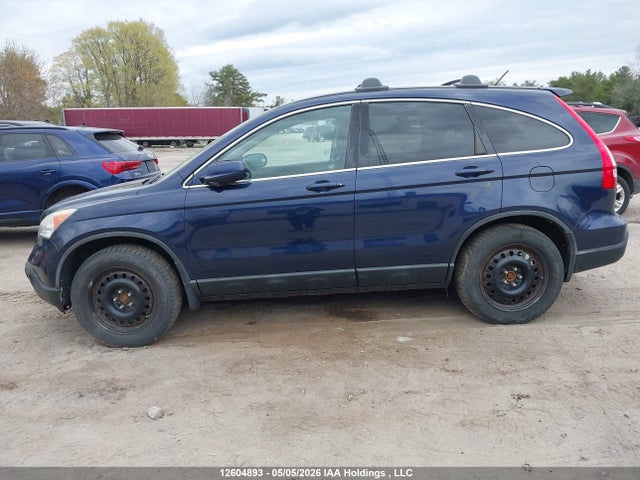 Продажа на аукционе авто 2009 Honda Cr-v Exl, vin: 5J6RE48709L808890, номер лота: 12604893