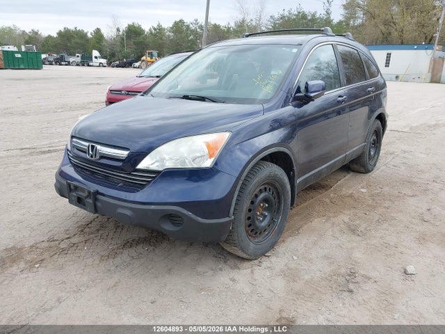 Продажа на аукционе авто 2009 Honda Cr-v Exl, vin: 5J6RE48709L808890, номер лота: 12604893