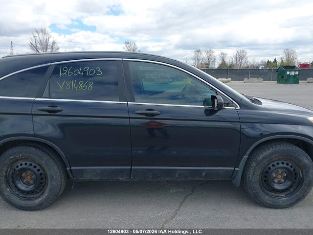 Продаж на аукціоні авто 2007 Honda Cr-v Lx, vin: 5J6RE48317L814868, номер лоту: 12604903