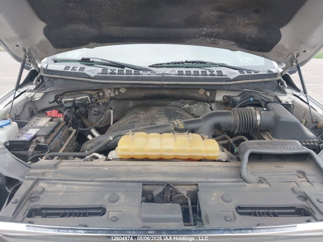1FTFW1EG5FFC07994 Ford F-150 Xlt