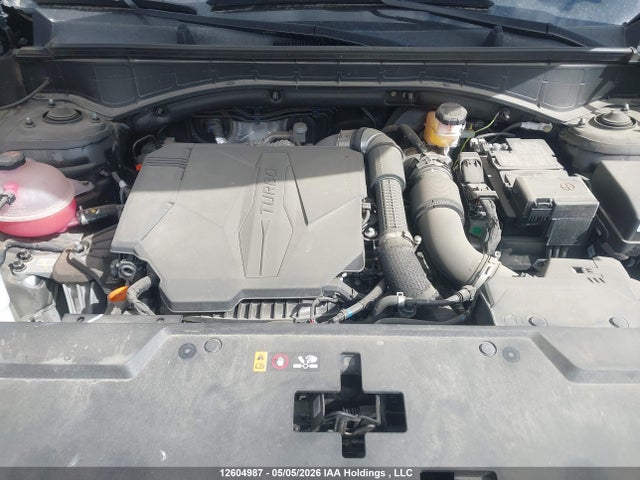 12604987 :رقم المزاد ، 5NMP5DGL9RH047645 vin ، 2024 Hyundai Santa Fe Calligraphy مزاد بيع