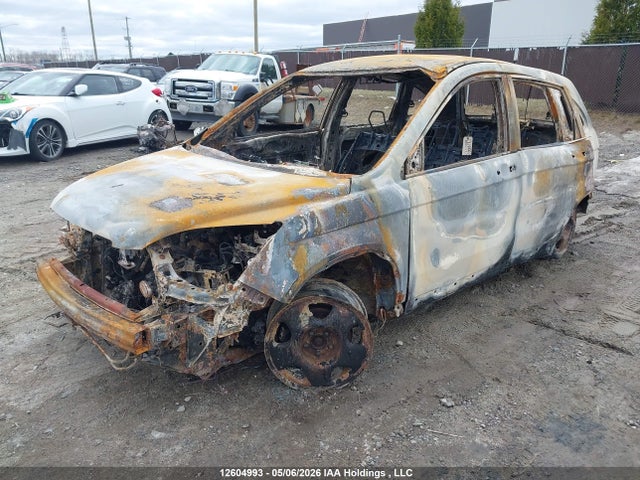 Aukcja sprzedaży 2007 Honda Cr-v Lx, vin: 5J6RE38317L800995, numer aukcji: 12604993