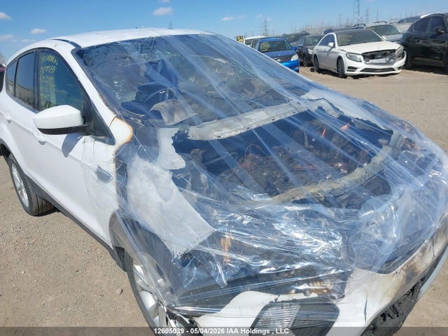 Продажа на аукционе авто 2019 Ford Escape Se, vin: 1FMCU9GD5KUB39899, номер лота: 12605039