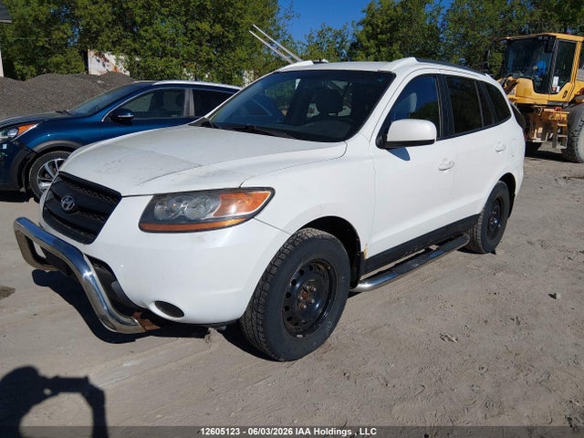 Aukcja sprzedaży 2009 Hyundai Santa Fe, vin: 5NMSG13D69H234651, numer aukcji: 12605123