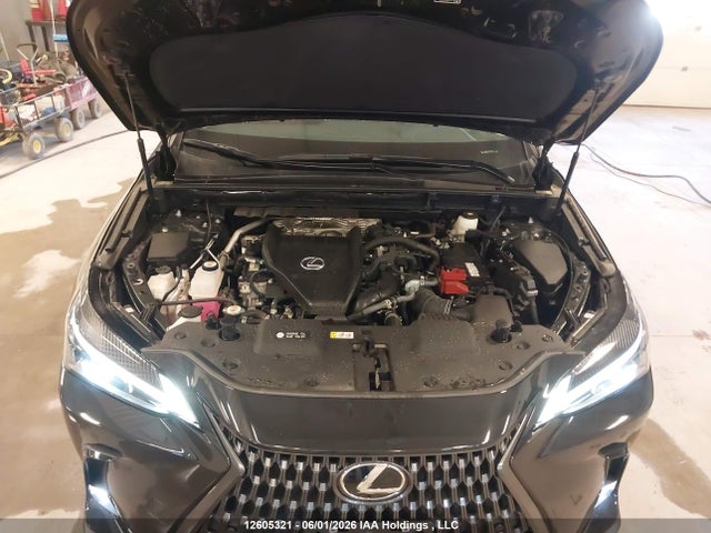 Продаж на аукціоні авто 2025 Lexus Nx 350, vin: 2T2GGCEZ0SC069181, номер лоту: 12605321