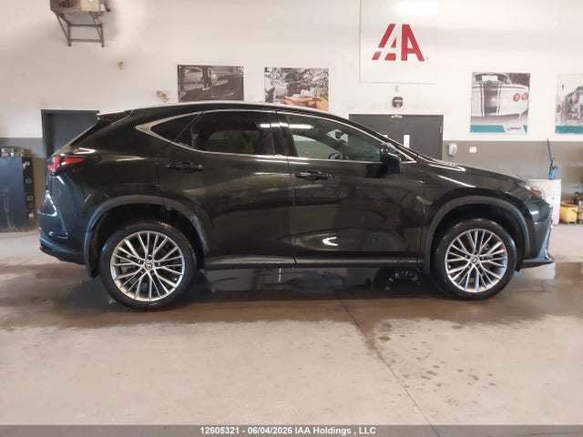 Продаж на аукціоні авто 2025 Lexus Nx 350, vin: 2T2GGCEZ0SC069181, номер лоту: 12605321