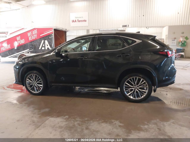 Продаж на аукціоні авто 2025 Lexus Nx 350, vin: 2T2GGCEZ0SC069181, номер лоту: 12605321