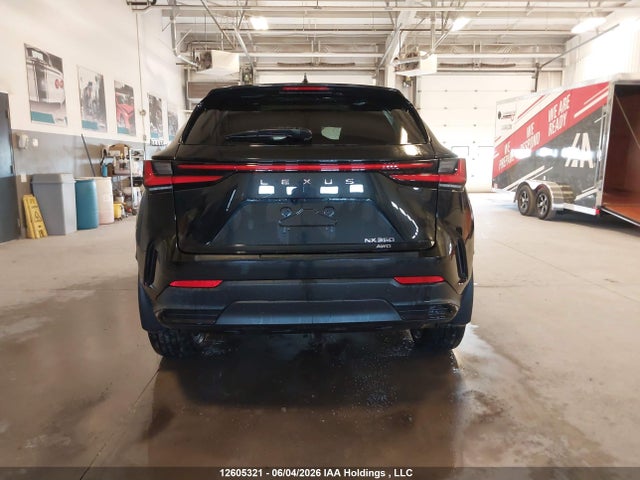 Продаж на аукціоні авто 2025 Lexus Nx 350, vin: 2T2GGCEZ0SC069181, номер лоту: 12605321