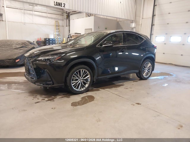Продаж на аукціоні авто 2025 Lexus Nx 350, vin: 2T2GGCEZ0SC069181, номер лоту: 12605321