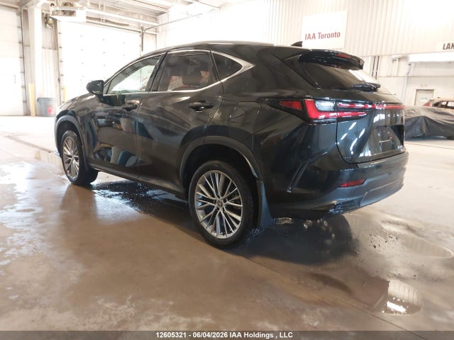 Продаж на аукціоні авто 2025 Lexus Nx 350, vin: 2T2GGCEZ0SC069181, номер лоту: 12605321
