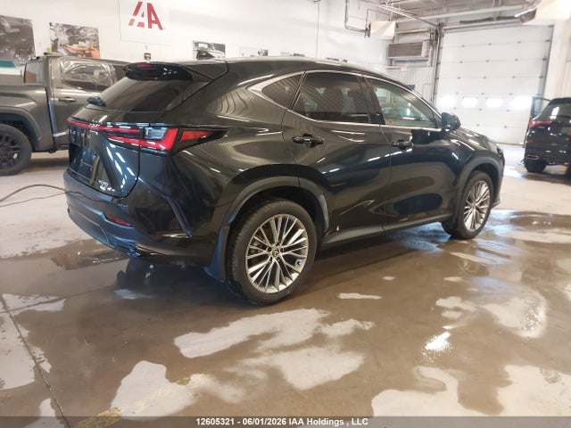 Продаж на аукціоні авто 2025 Lexus Nx 350, vin: 2T2GGCEZ0SC069181, номер лоту: 12605321