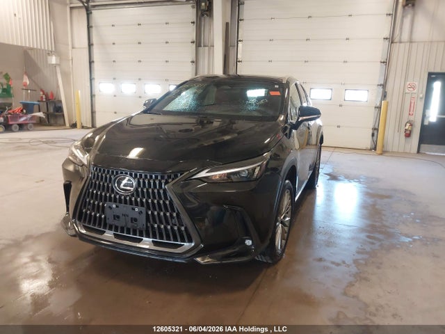 Продаж на аукціоні авто 2025 Lexus Nx 350, vin: 2T2GGCEZ0SC069181, номер лоту: 12605321