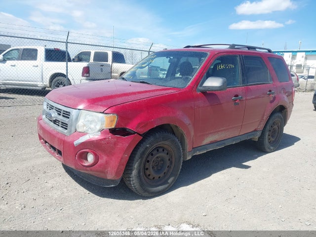 Продаж на аукціоні авто 2009 Ford Escape Xlt Automatic, vin: 1FMCU93G49KB91773, номер лоту: 12605346
