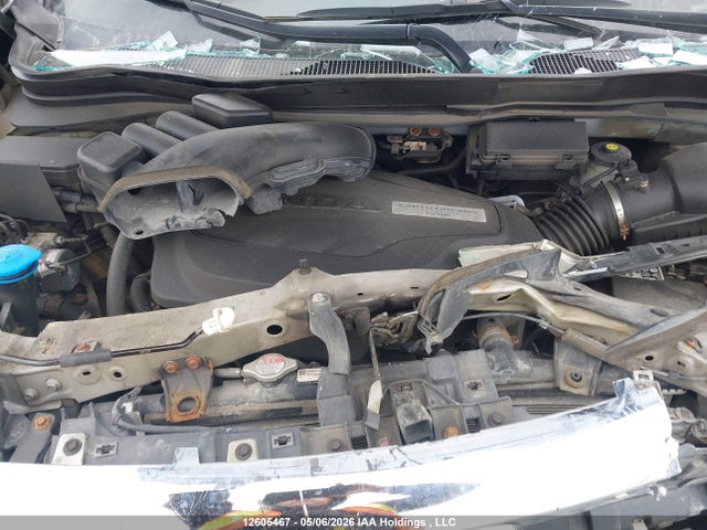 5FNYF6H71KB501585 Honda PILOT EXL