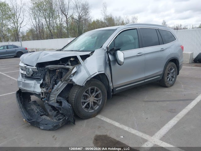 5FNYF6H71KB501585 Honda PILOT EXL