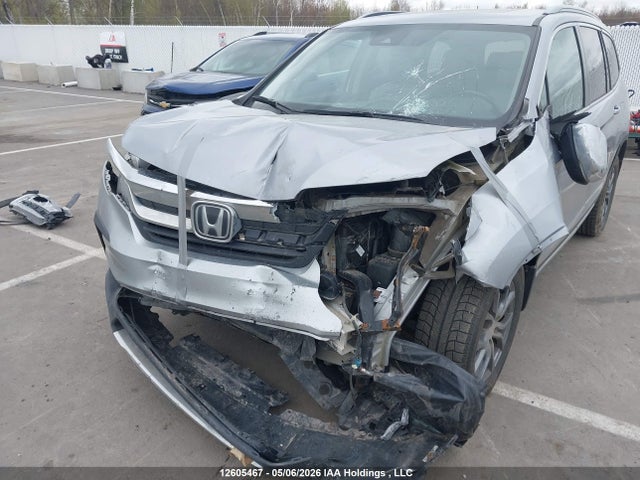 5FNYF6H71KB501585 Honda PILOT EXL