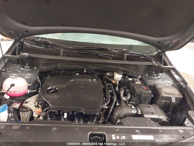Продаж на аукціоні авто 2024 Kia Sportage X Line Limited, vin: KNDPXCDF2R7256963, номер лоту: 12605478