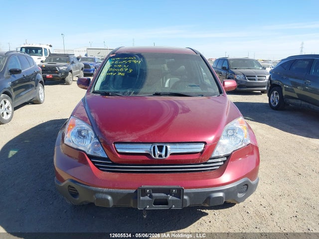 Продаж на аукціоні авто 2007 Honda Cr-v Exl, vin: 5J6RE48707L800673, номер лоту: 12605534