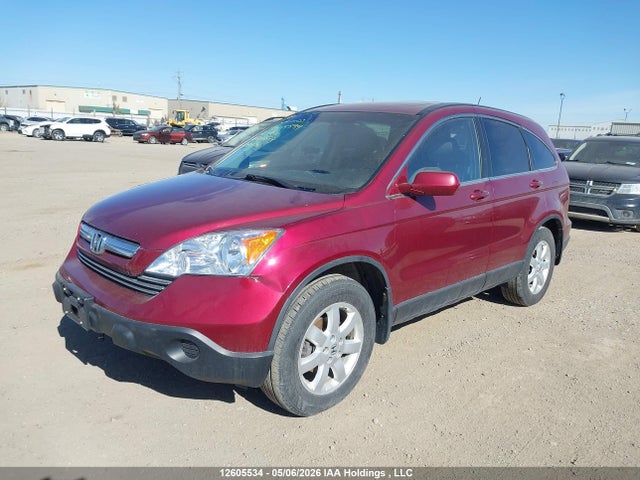 Продаж на аукціоні авто 2007 Honda Cr-v Exl, vin: 5J6RE48707L800673, номер лоту: 12605534