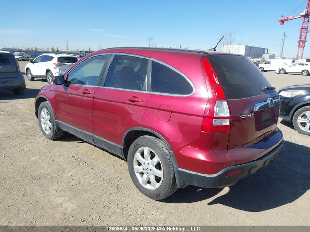 Продаж на аукціоні авто 2007 Honda Cr-v Exl, vin: 5J6RE48707L800673, номер лоту: 12605534