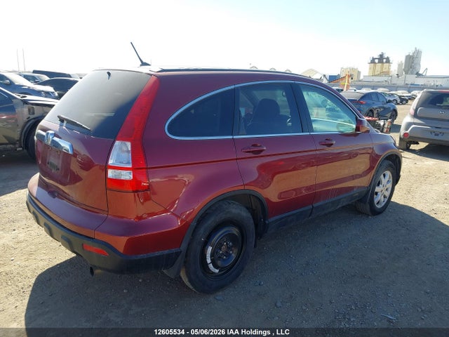 Продаж на аукціоні авто 2007 Honda Cr-v Exl, vin: 5J6RE48707L800673, номер лоту: 12605534