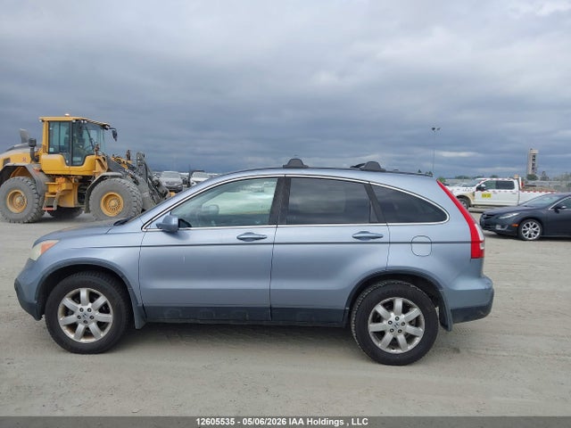 Auction sale of the 2007 Honda Cr-v Exl, vin: 5J6RE48797L816709, lot number: 12605535