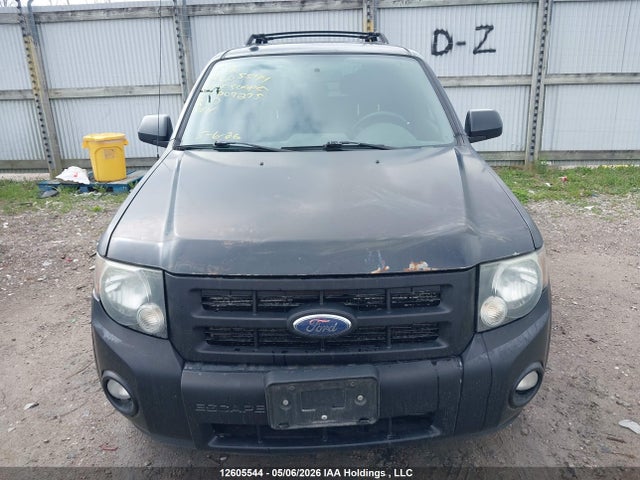 Продаж на аукціоні авто 2009 Ford Escape Xlt, vin: 1FMCU03G59KD09275, номер лоту: 12605544