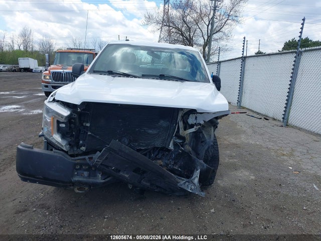 Auction sale of the 2019 Ford F150, vin: 1FTMF1E57KKC93557, lot number: 12605674