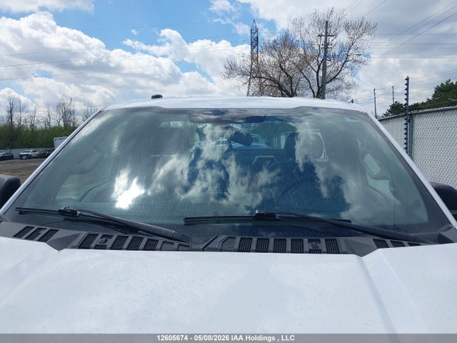 Auction sale of the 2019 Ford F150, vin: 1FTMF1E57KKC93557, lot number: 12605674