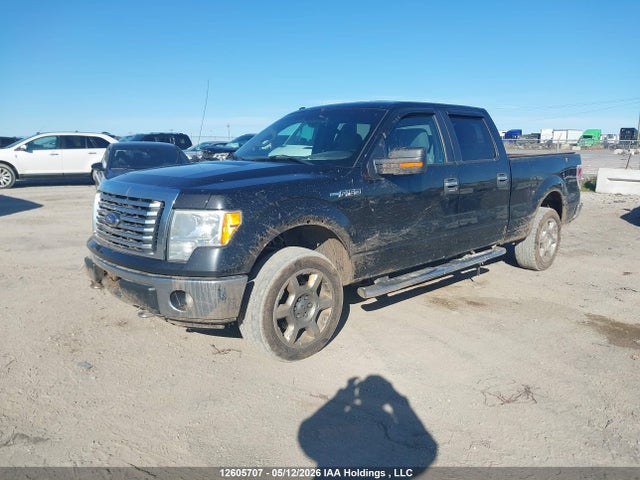 Продажа на аукционе авто 2012 Ford F-150 Xlt, vin: 1FTFW1EF9CFC65352, номер лота: 12605707