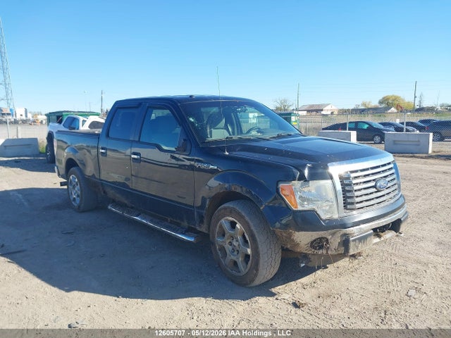 Продажа на аукционе авто 2012 Ford F-150 Xlt, vin: 1FTFW1EF9CFC65352, номер лота: 12605707
