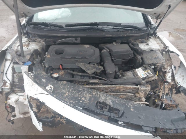 5NPE24AF6GH423527 Hyundai SONATA SE