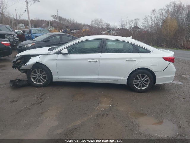 5NPE24AF6GH423527 Hyundai SONATA SE