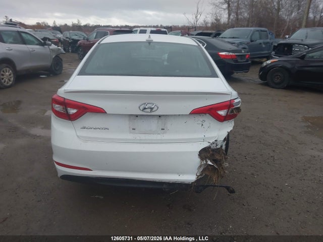 5NPE24AF6GH423527 Hyundai SONATA SE