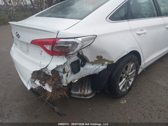 5NPE24AF6GH423527 Hyundai SONATA SE