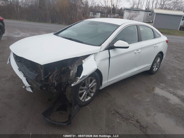 5NPE24AF6GH423527 Hyundai SONATA SE