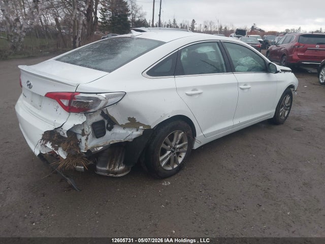 5NPE24AF6GH423527 Hyundai SONATA SE